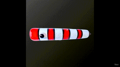 GT Oman Series Popper - Tangerine Taffy